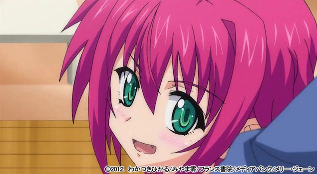 【画像_サンプル】 My妹 小悪魔なAカップ 上巻 お兄ちゃんなんて大嫌い!?| (ブランド:maryjane)