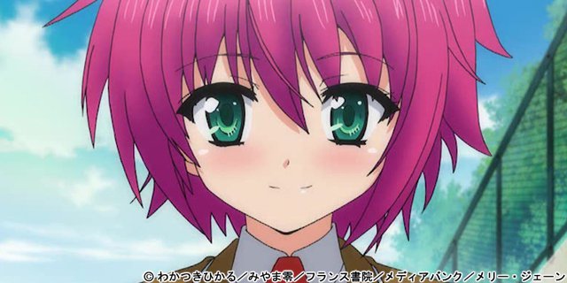 【画像_サンプル】 My妹 小悪魔なAカップ 下巻 お兄ちゃんに夢中だよ| (ブランド:maryjane)