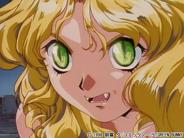 【画像_サンプル】 ミッドナイトパンサー VOL.1| (ブランド:グリーンバニー)