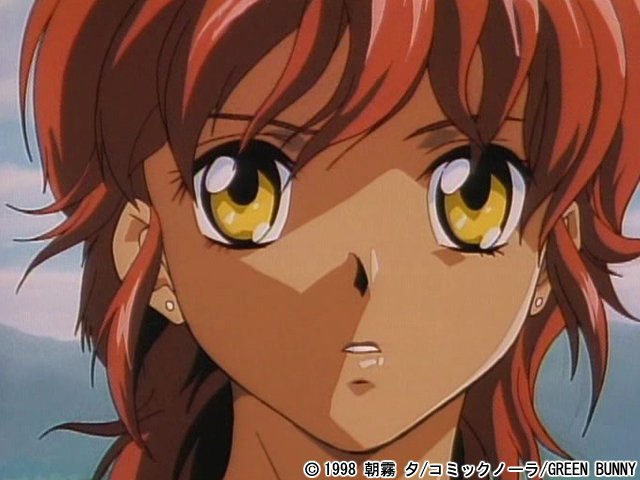 【画像_サンプル】 ミッドナイトパンサー VOL.2| (ブランド:グリーンバニー)