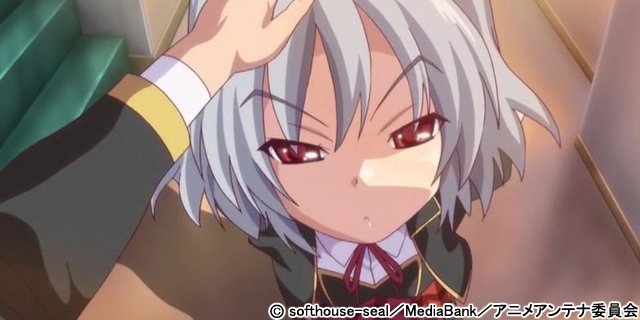 【画像_サンプル】 ぜったい遵守強制子作り許可証!! 1枚目 〜みんなに中出し〜| (ブランド:メディアバンク)