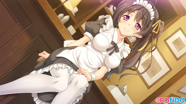 【画像_サンプル】 こいのす☆イチャコライズ| (ブランド:eRONDO)